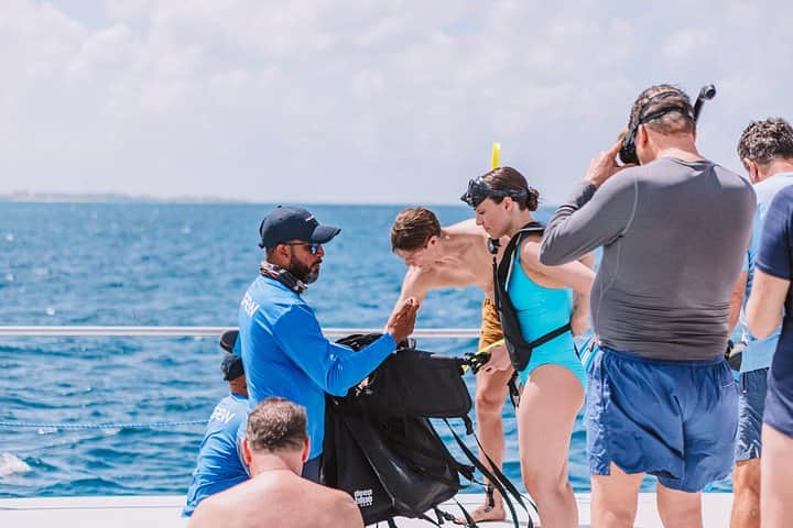 Snorkeling the Antilla Shipwreck, photo 5 from the tour operator
