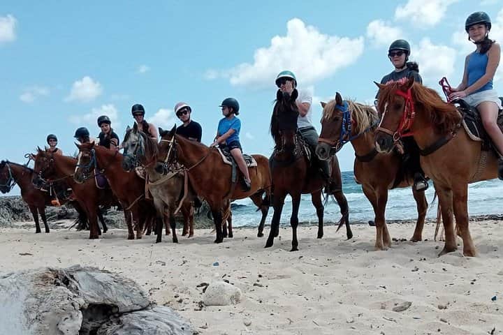 Horseback Riding on the Beach, photo 3 from the tour operator