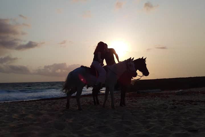 Horseback Riding on the Beach, photo 5 from the tour operator
