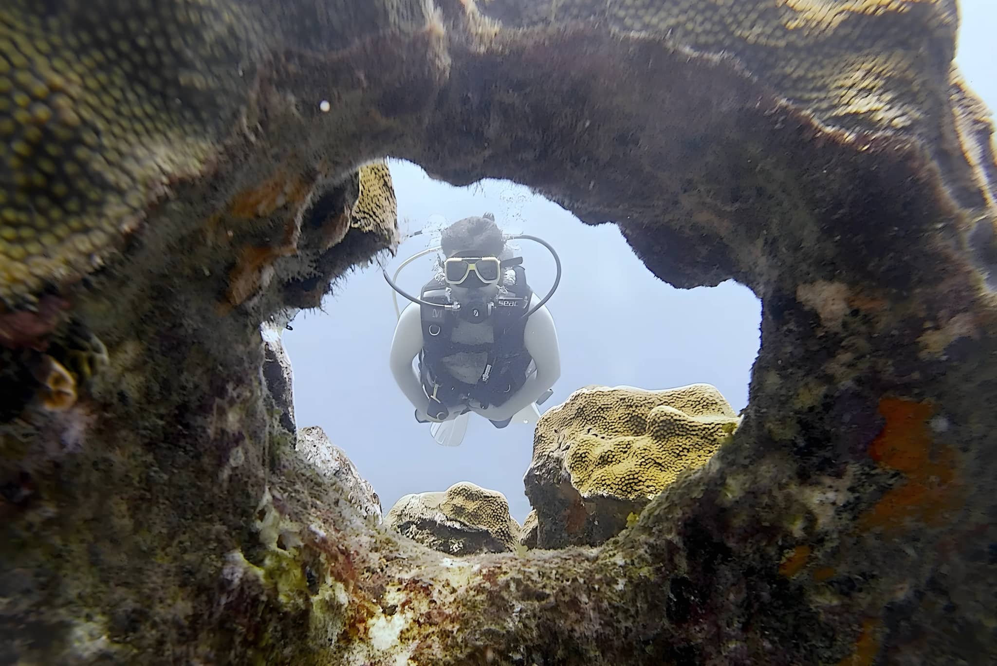 A scuba diver seen through a window in the coral on the south east coast of Aruba