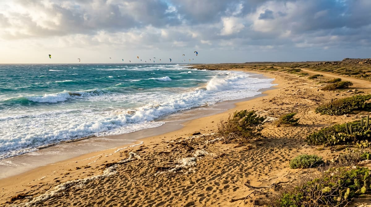Boca Grandi beach in Aruba. adventure
