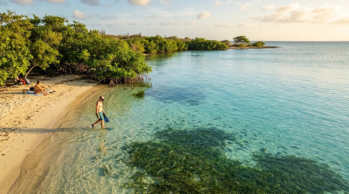 Mangel Halto beach in Aruba. adventure