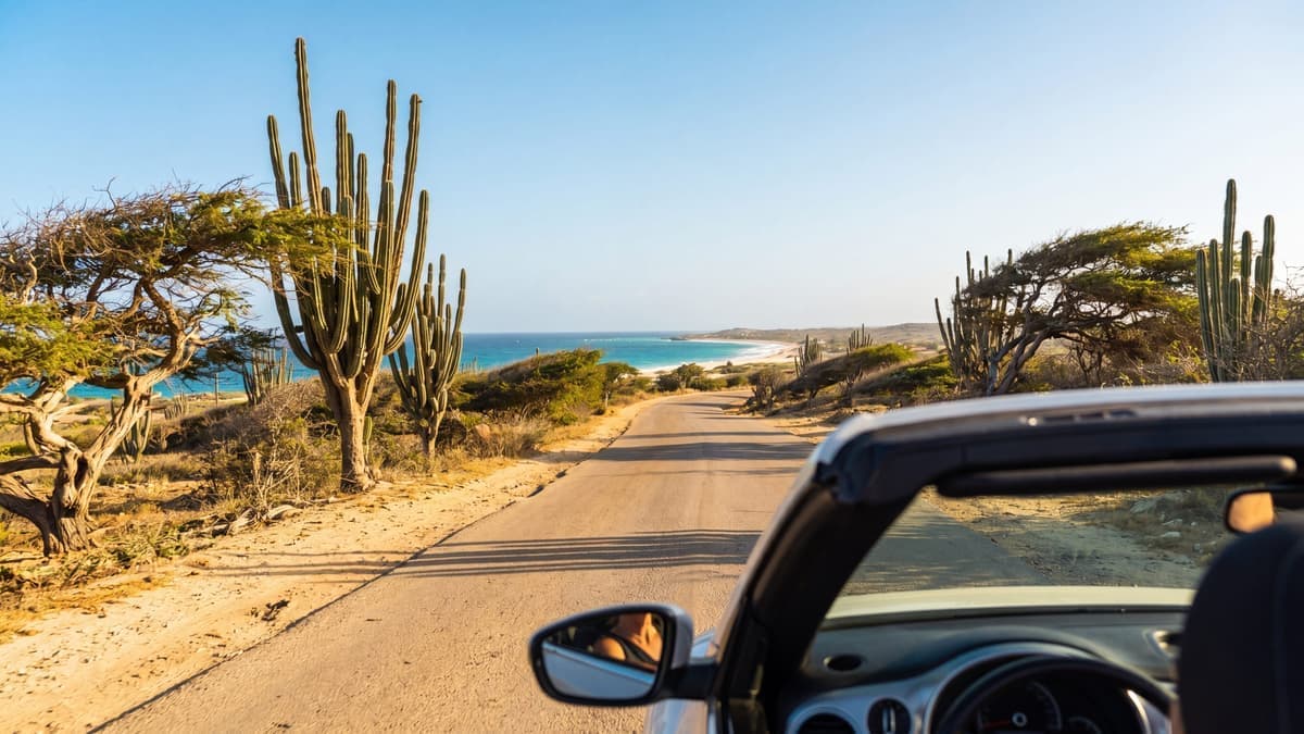 5-Day Aruba Itinerary: The Perfect Island Getaway