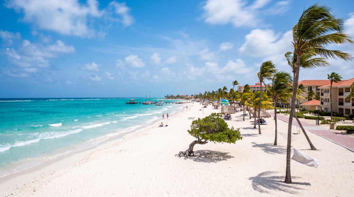 Are There Mosquitoes in Aruba? The Honest Local Answer on Bugs and Bites (2026)