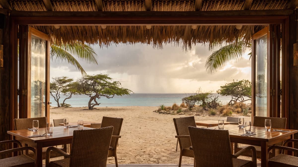 15 Things to Do in Aruba on a Rainy Day