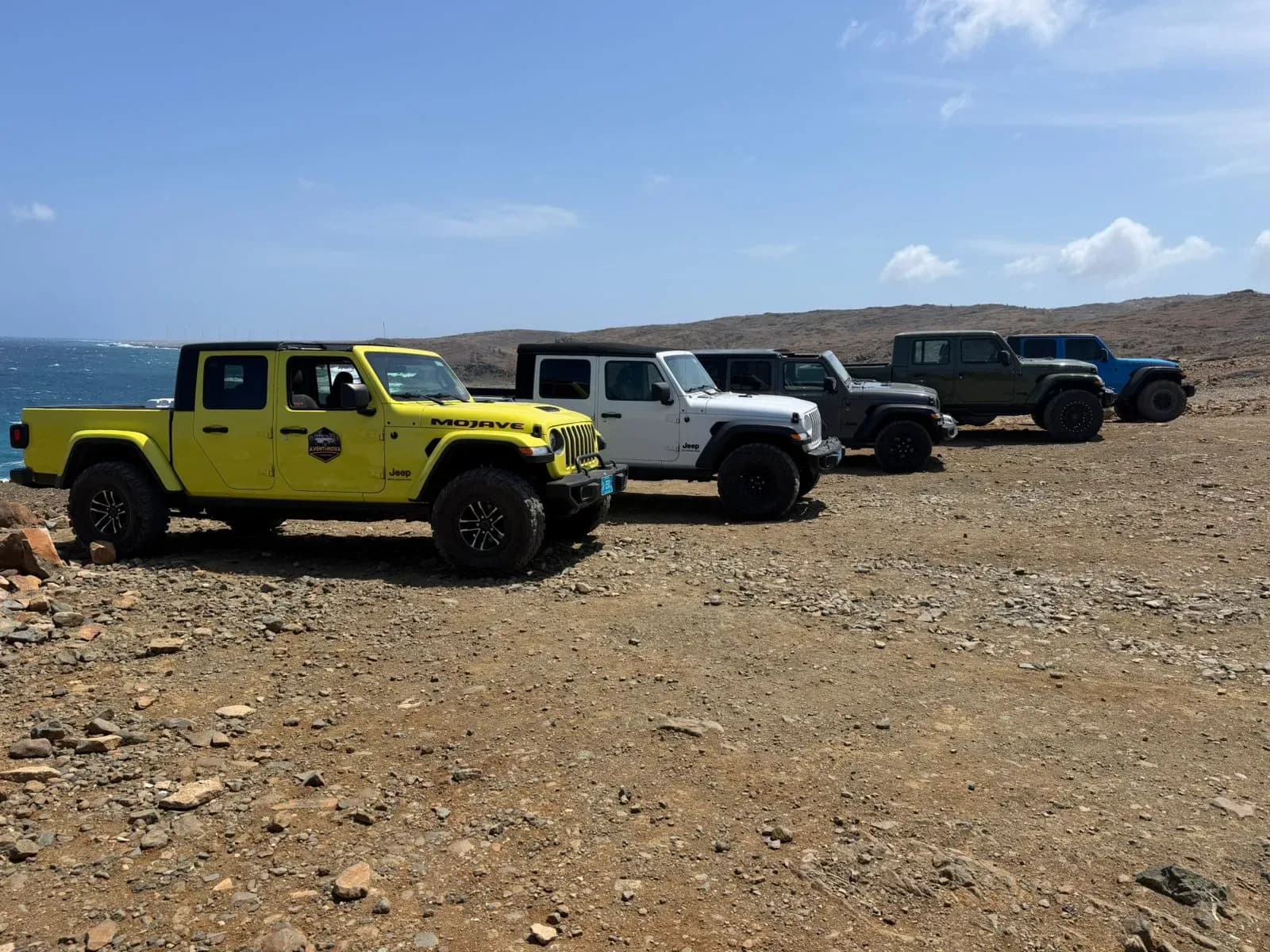 Four Jeeps parked in a row on a rocky coastal headland in Aruba, a yellow Gladiator and a white Wrangler in front