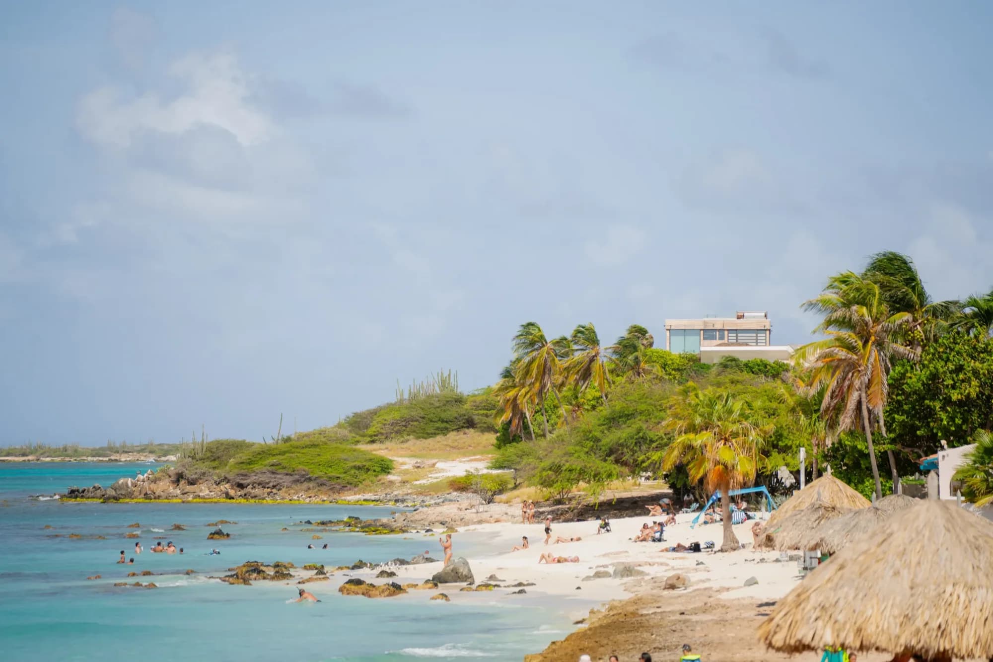 A small palm-lined bay with swimmers and a palapa, seen from the low cliffs on the Aruba coast