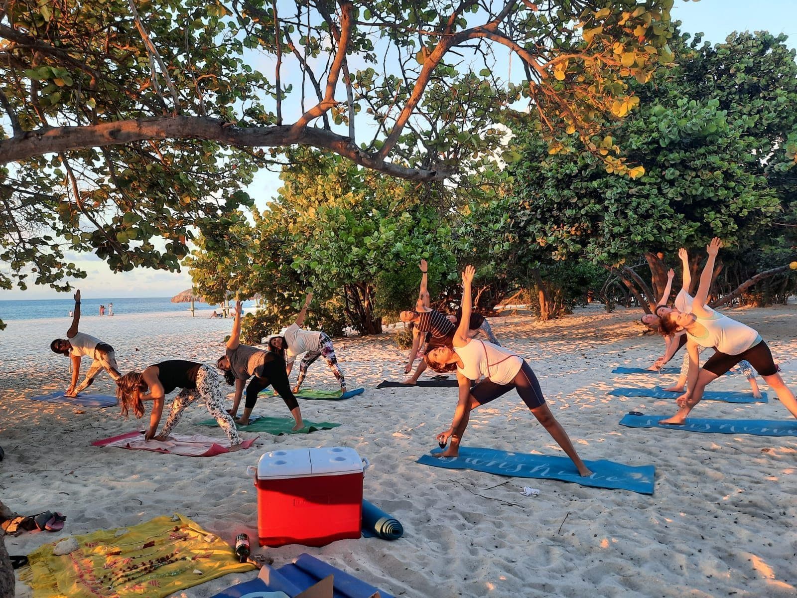 A full beach yoga class flowing under the sea grape canopy on Eagle Beach