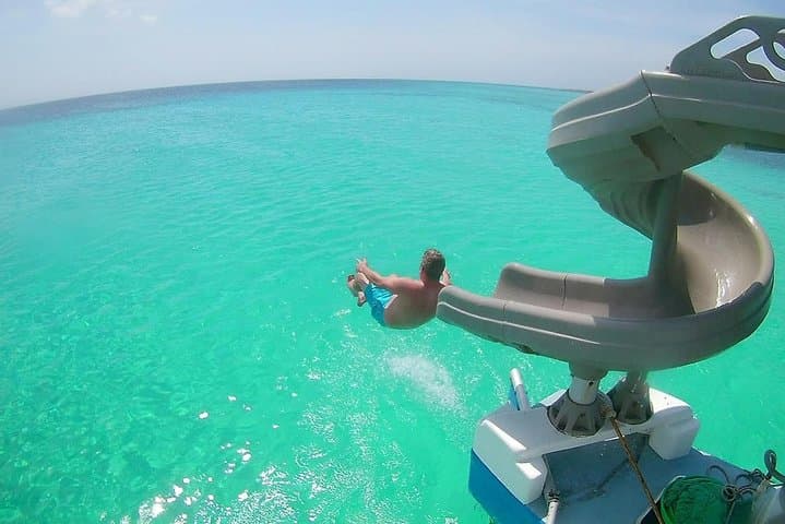 Dolphin Snorkel Sail with Open Bar, Palm Beach, Aruba