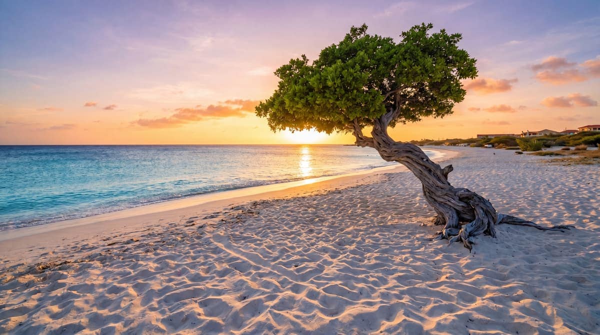 Eagle Beach, Aruba, wide white sand and turquoise water