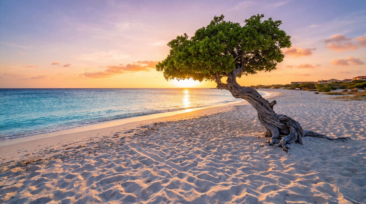 Eagle Beach, Aruba, wide white sand and turquoise water