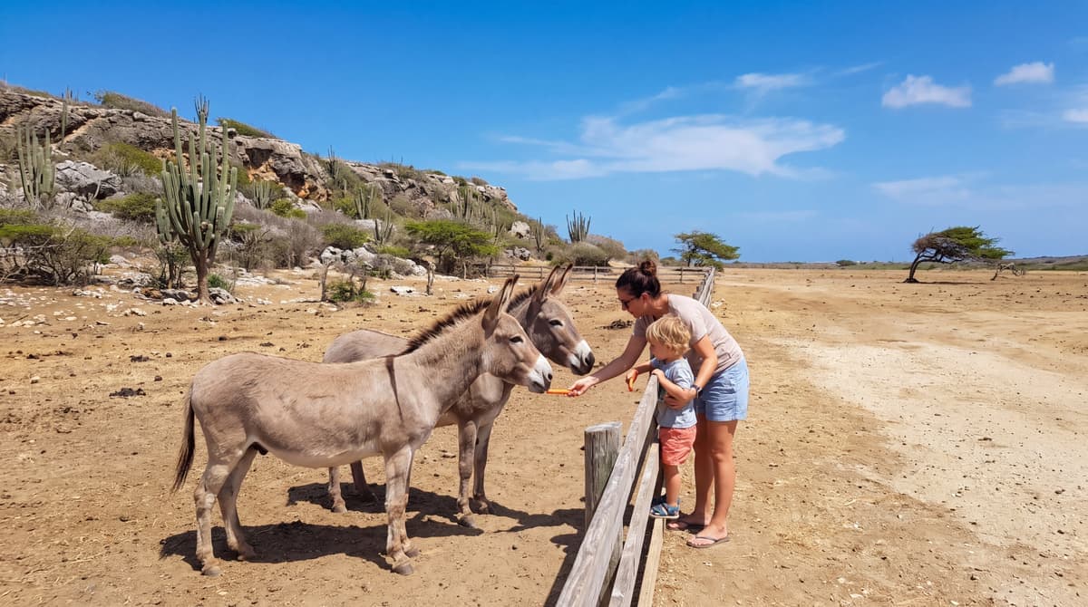 Aruba's Animal Attractions: The Butterfly Farm, Ostrich Farm, Donkey Sanctuary, and Philip's Animal Garden (2026)