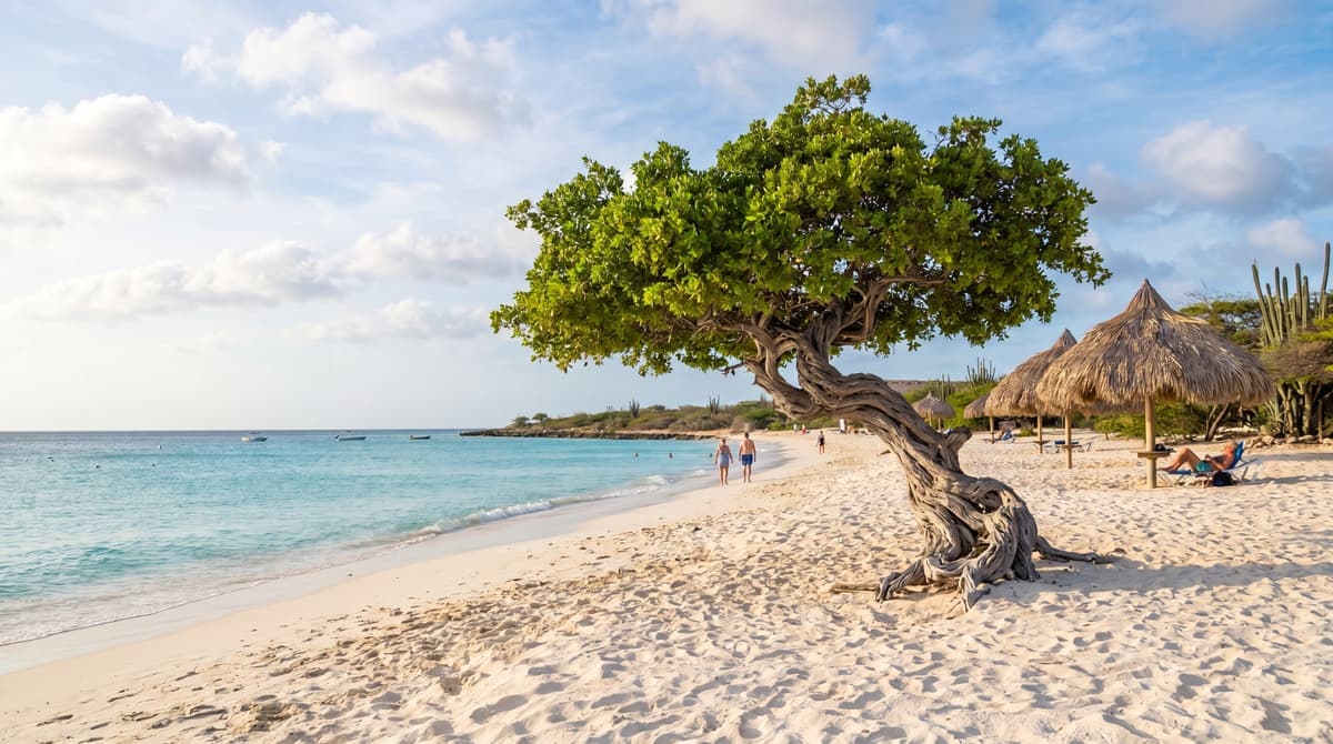 Aruba Boutique hotels
