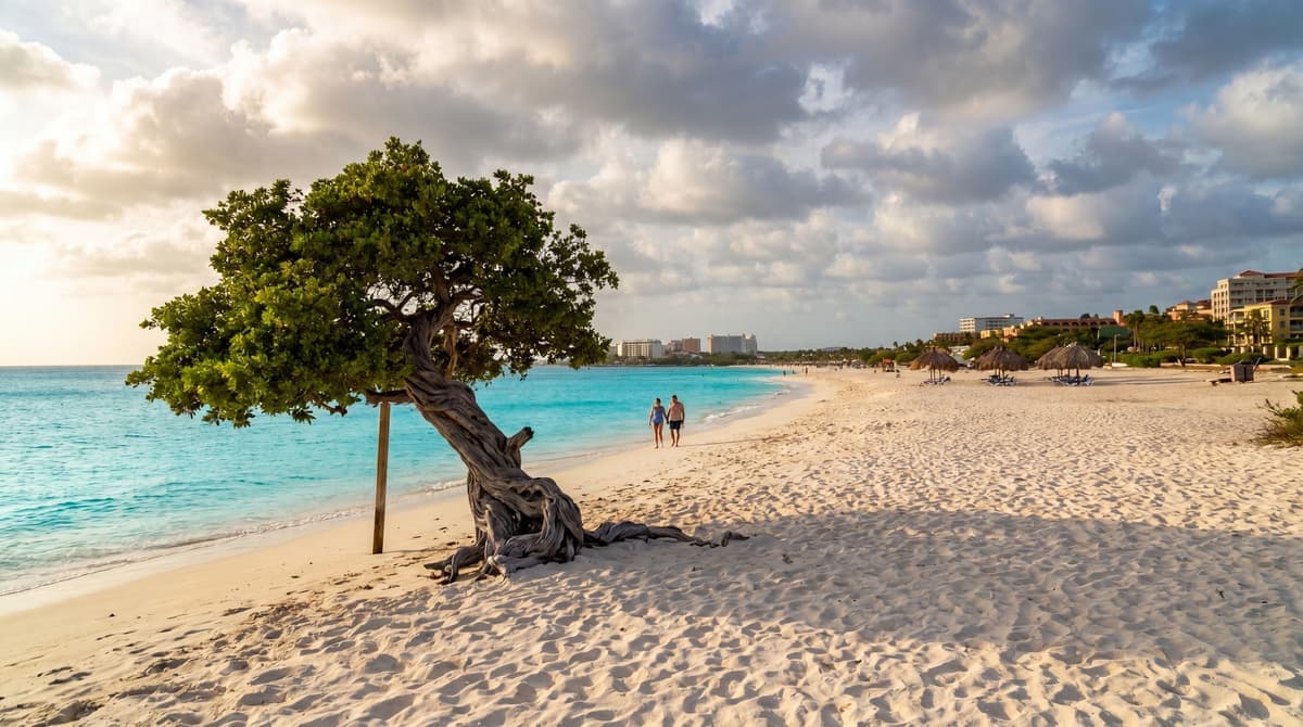 Aruba in November 2026: The Last Value Month Before Peak Season Prices Take Over