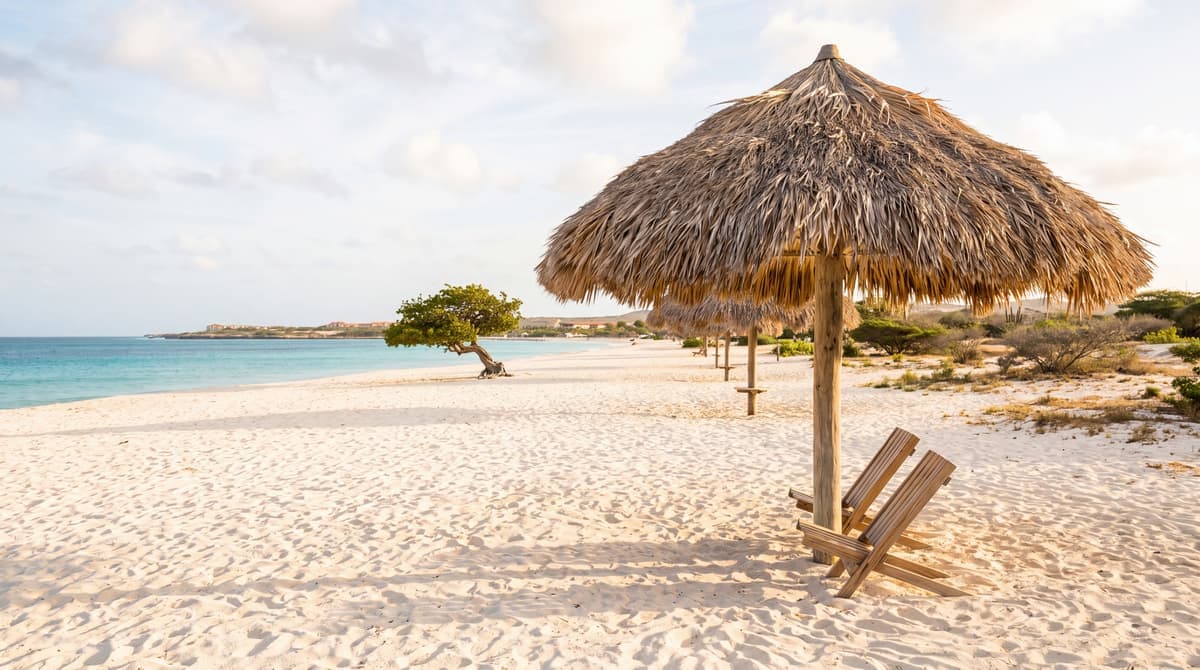 How to Get a Palapa in Aruba: The Honest Guide to Beach Shade, Rules, and Rentals (2026)
