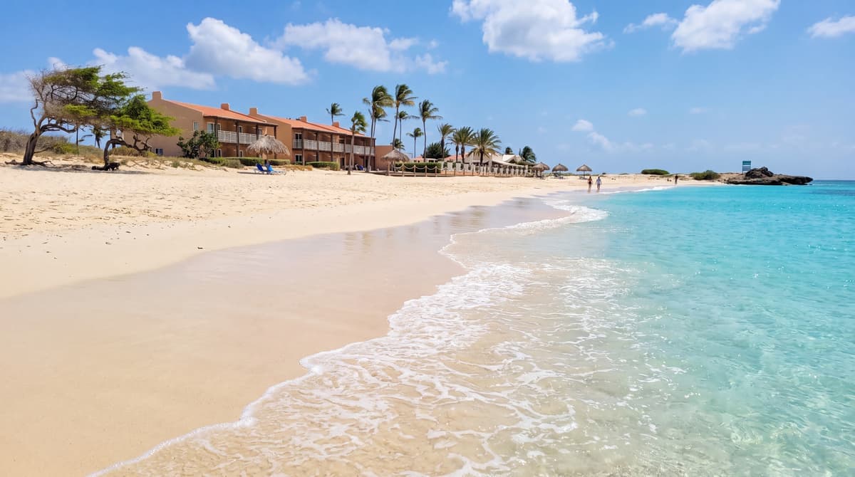 Does Aruba Get Sargassum Seaweed? The Honest 2026 Guide