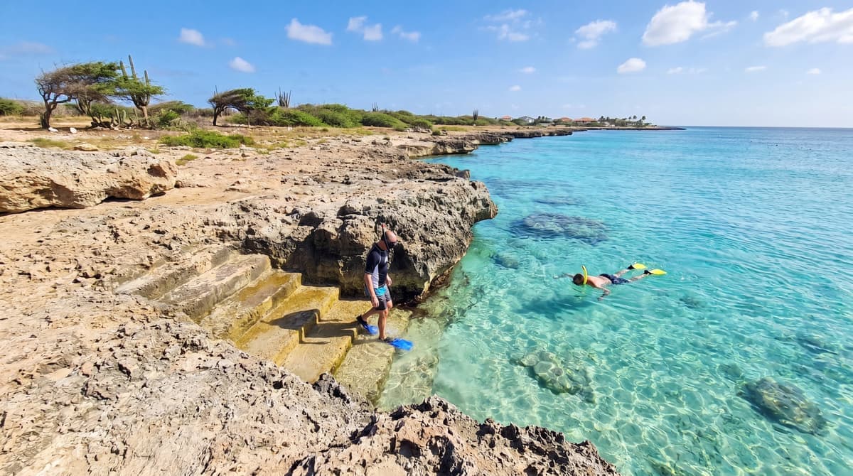Best Shore Snorkeling in Aruba: 7 Spots You Can Reach Without a Tour