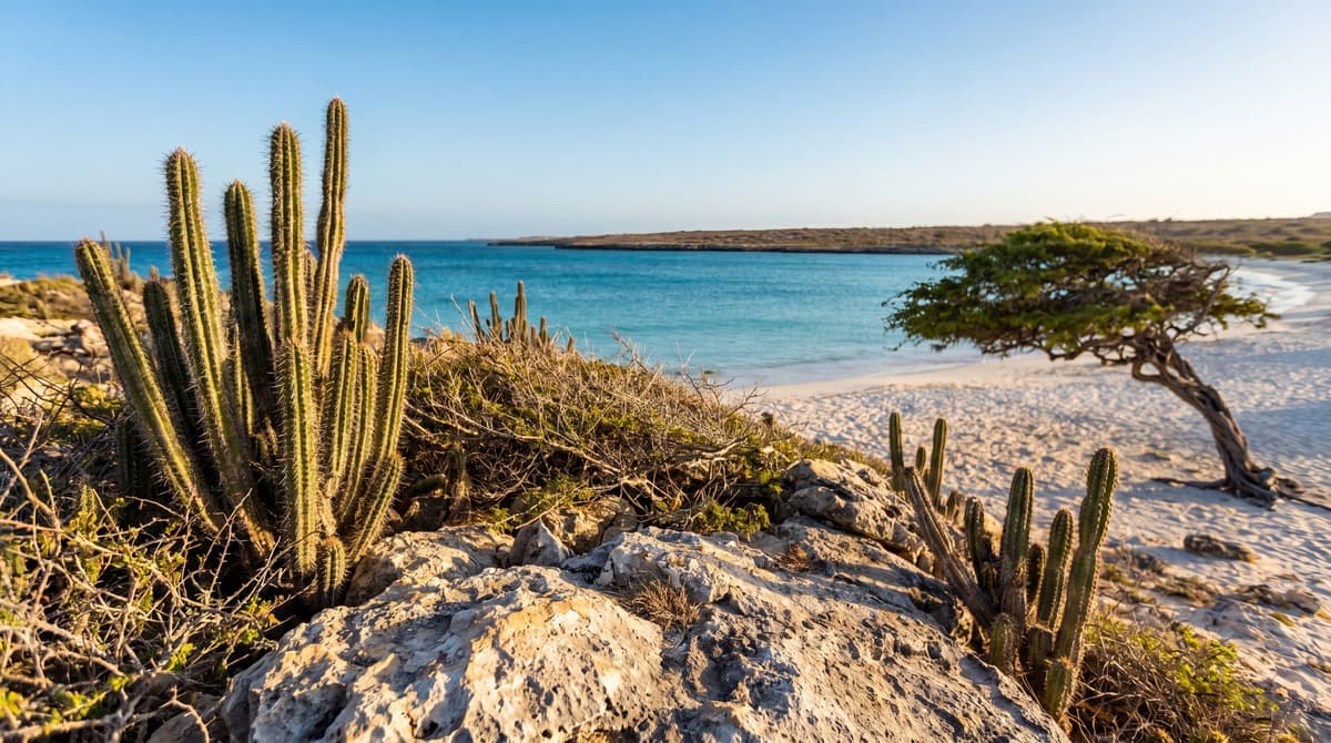 Aruba vs Hawaii: Which Beach Trip Should East Coasters Pick in 2026?