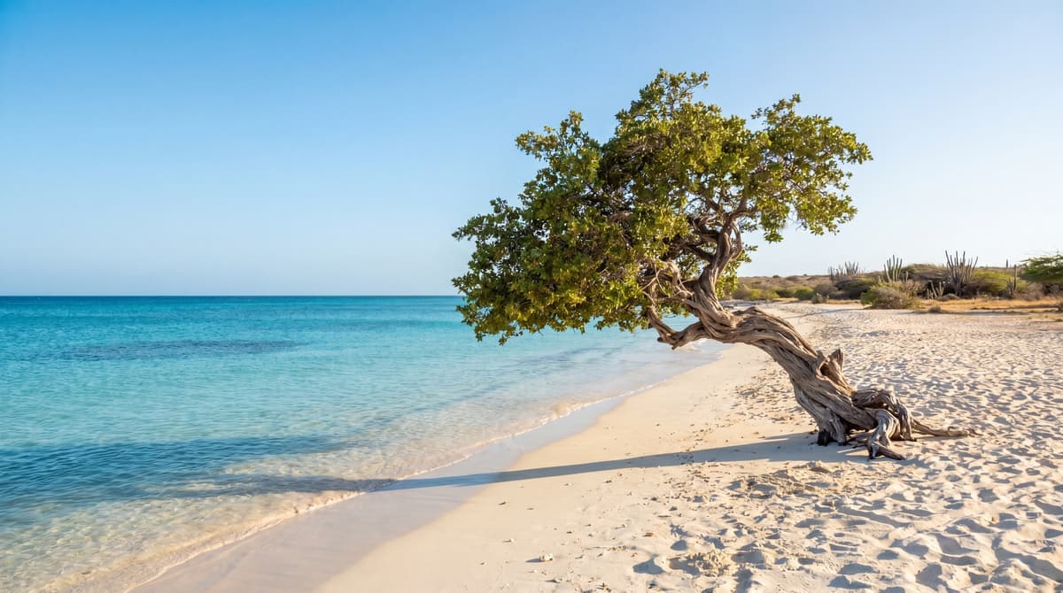 Aruba vs Jamaica: Which Caribbean Island Should You Pick in 2026?
