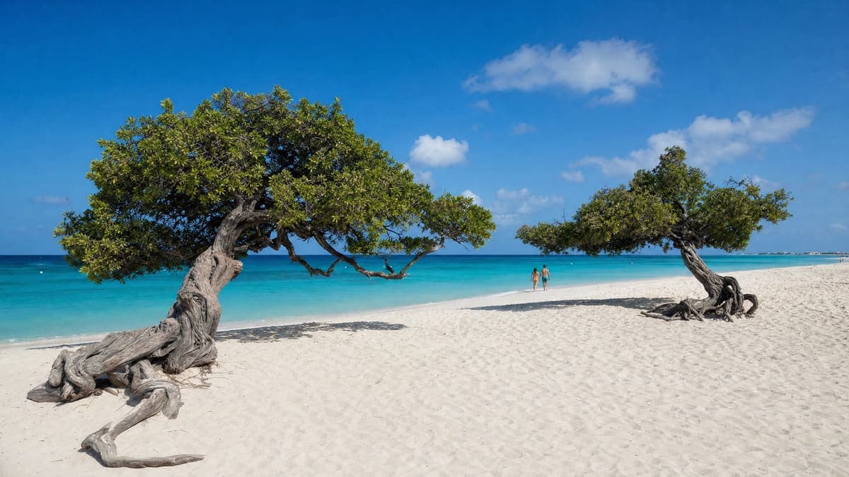 Aruba vs Puerto Rico: Which Caribbean Island Should You Pick in 2026?