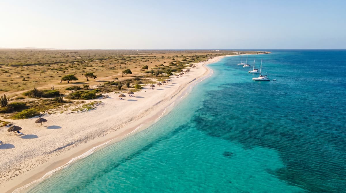 Aruba vs Turks and Caicos: Which Caribbean Island Should You Pick in 2026?