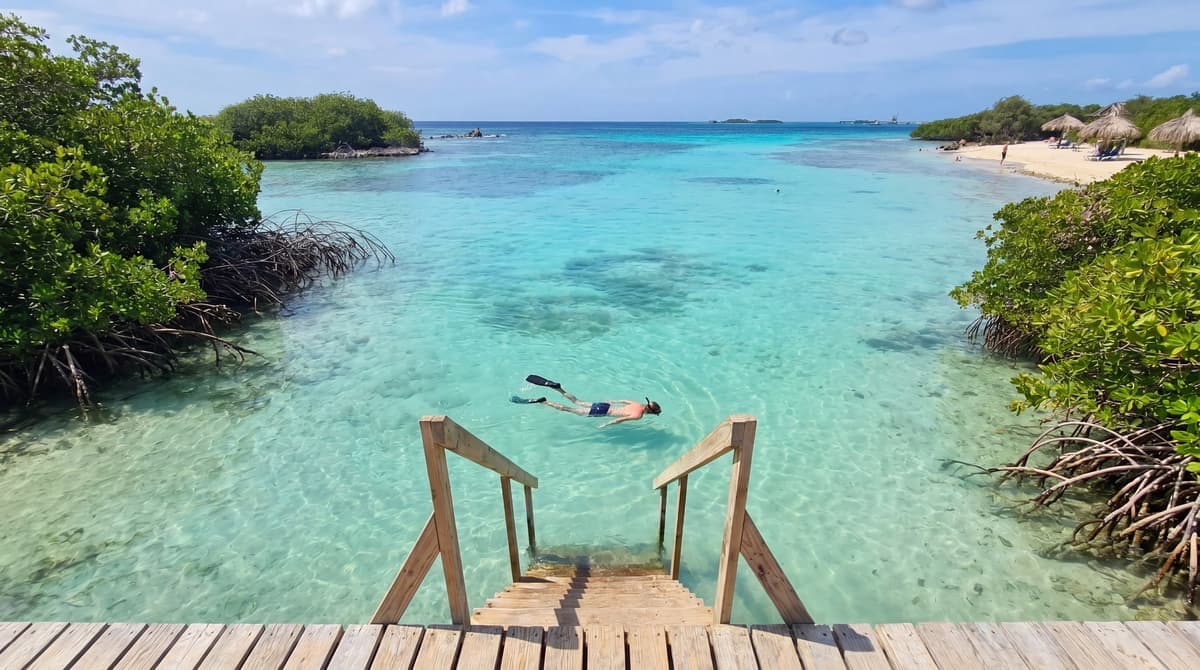 Mangel Halto Snorkeling in Aruba: What to Know Before You Go (An Honest Local Guide)