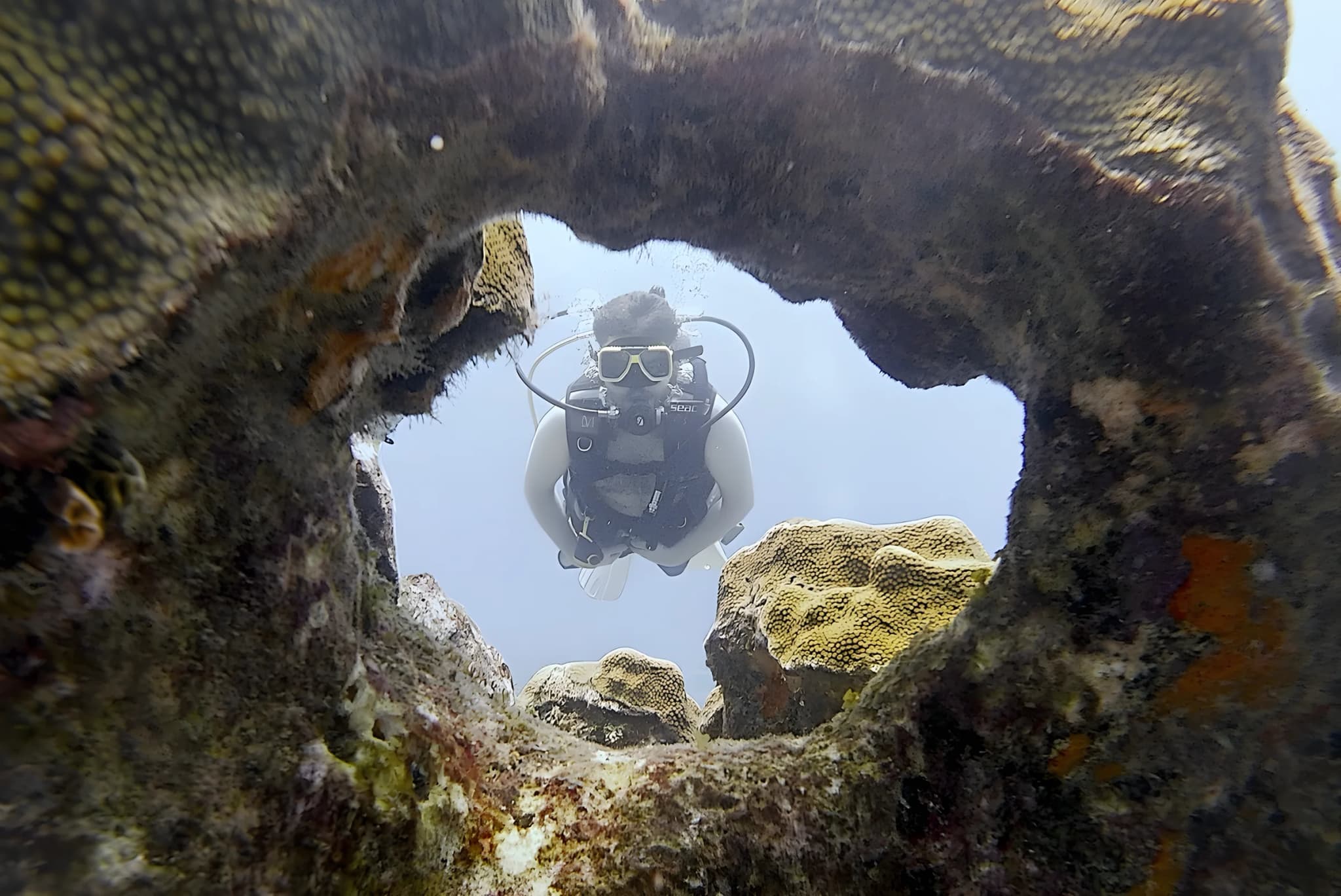 A scuba diver seen through a window in the coral on the south east coast of Aruba
