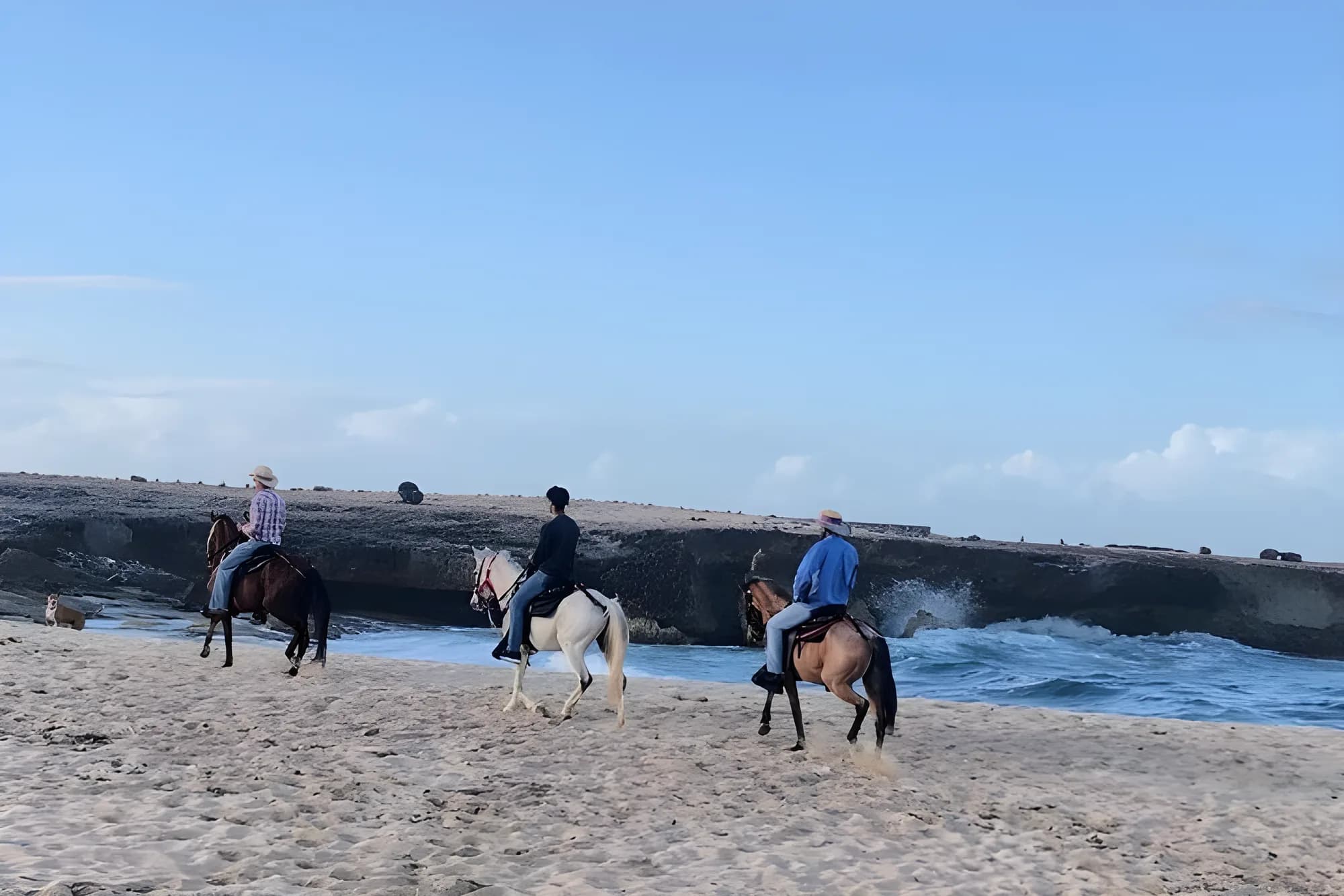Riders on horseback at the water line of a north coast beach with waves rolling in