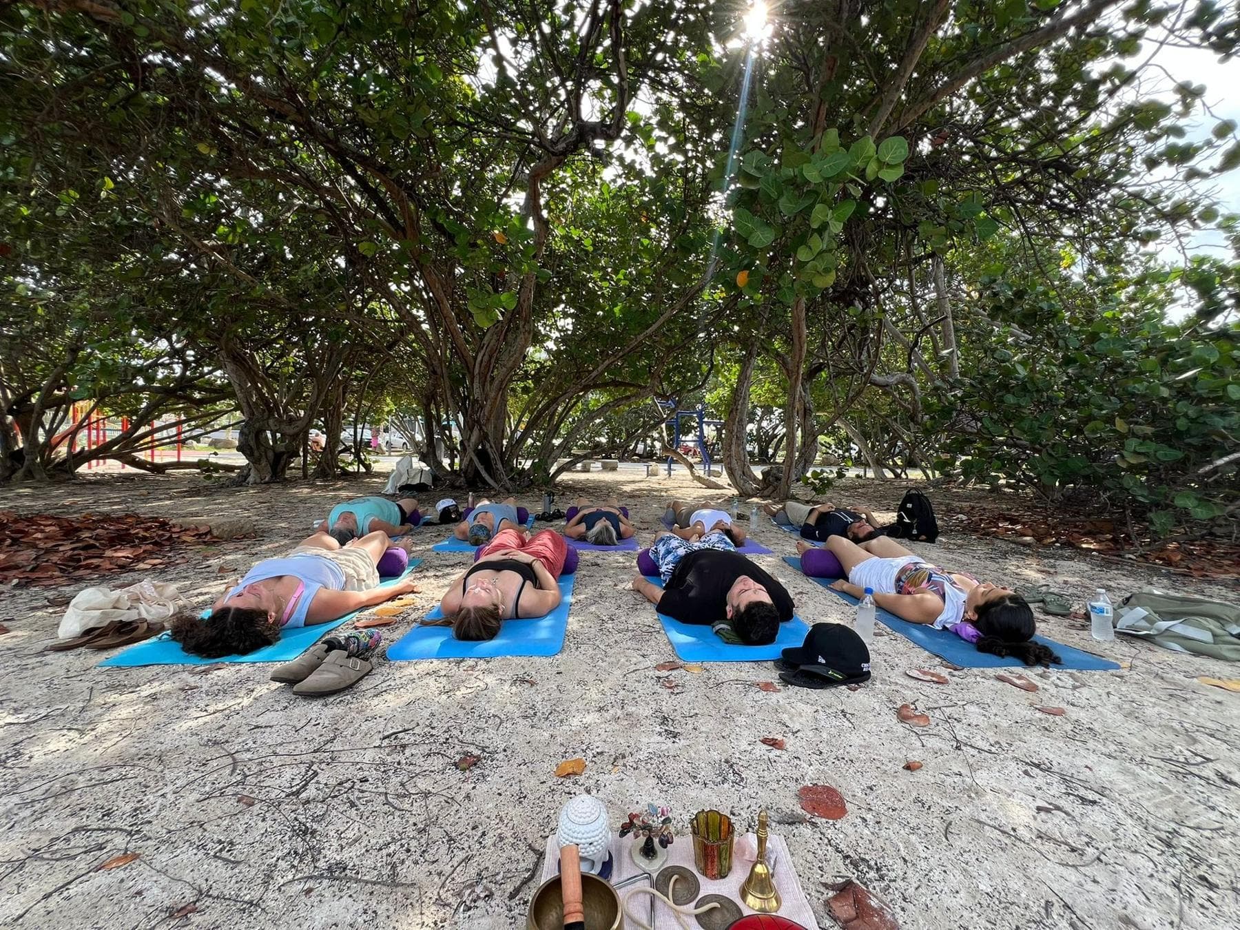 Guests lying in deep rest on their mats under the sea grape canopy, sunlight breaking through