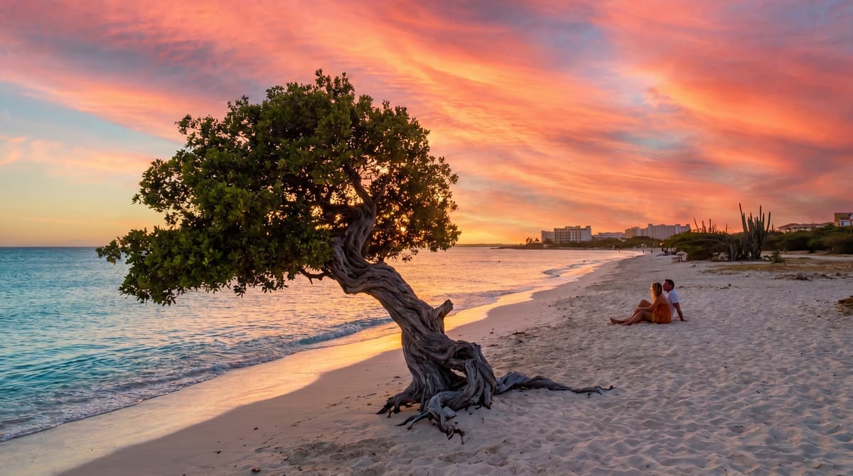 Eagle Beach at golden hour with a fofoti tree, Aruba
