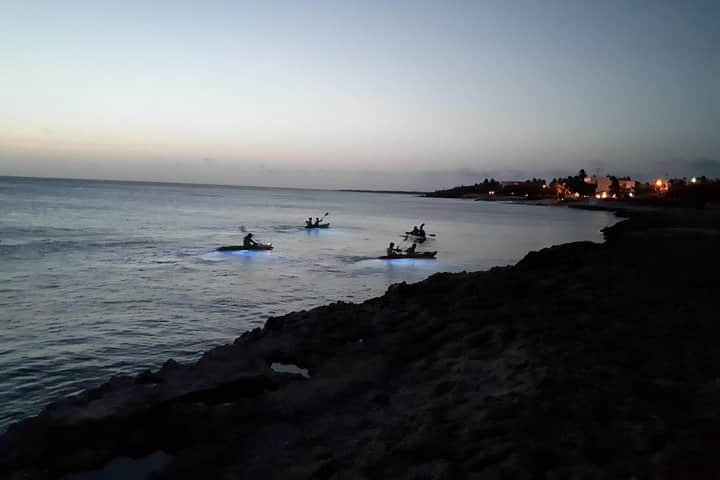 Night Kayaking Adventure, photo 2 from the tour operator