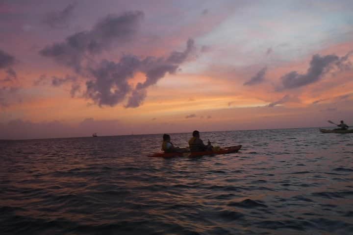 Night Kayaking Adventure, photo 3 from the tour operator