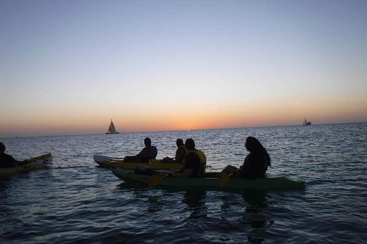 Night Kayaking Adventure, photo 4 from the tour operator