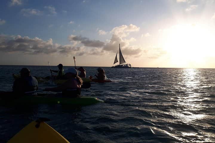 Night Kayaking Adventure, photo 5 from the tour operator